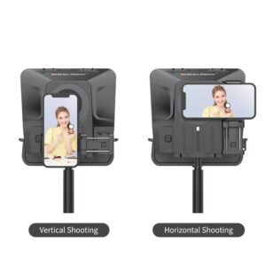 Desview T5