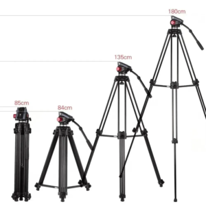 Desview V12