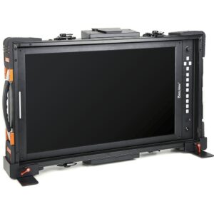 Desview V21