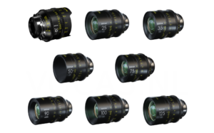 DZOFILM Vespid Prime 8-Lens Kit - PL Mount (16/25/35/50/75/90/100/125mm)